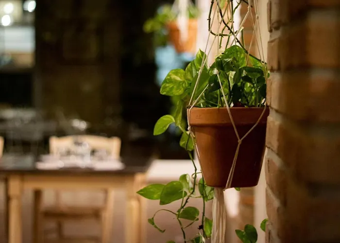 Agricola Casa Cucina Bottega