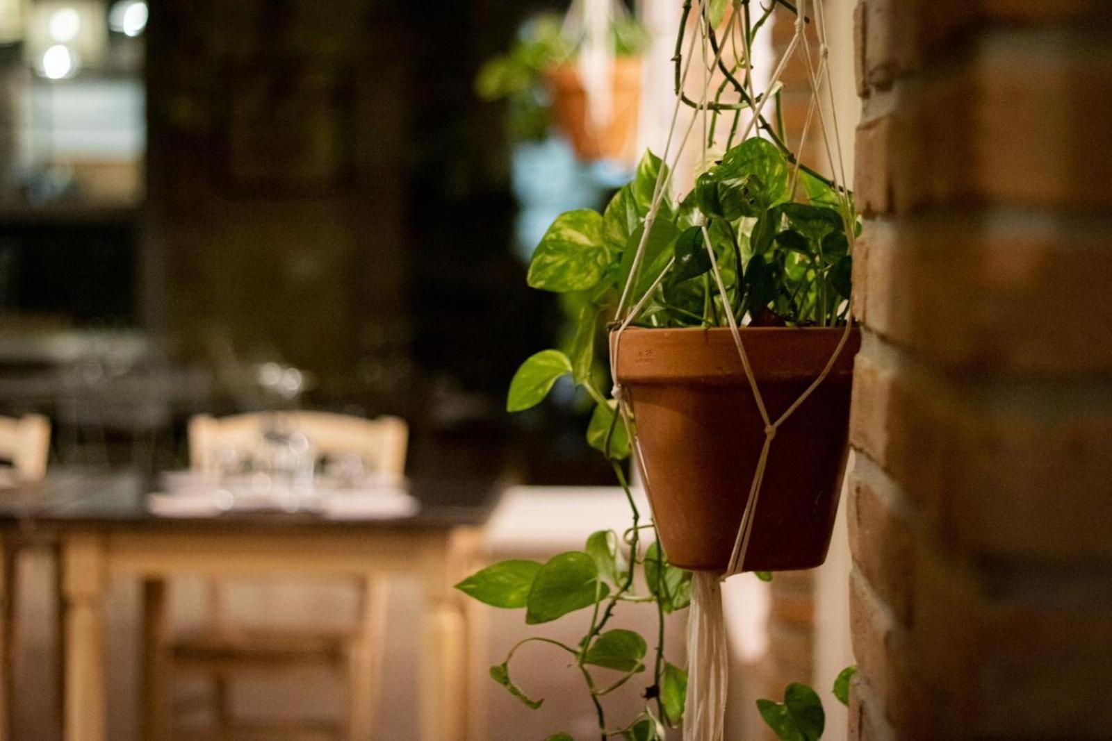 Agricola Casa Cucina Bottega Farm stay Cesena