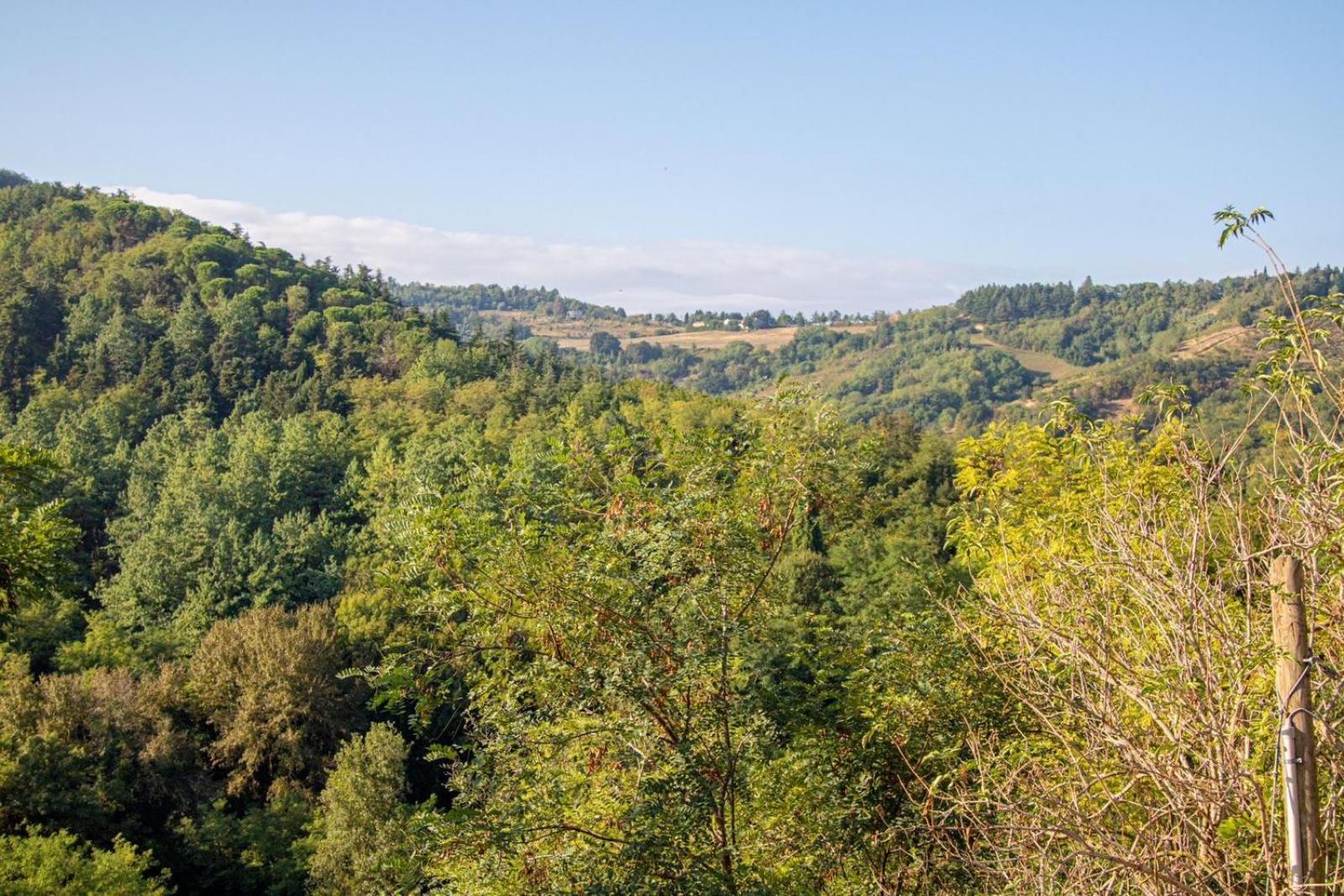 Agricola Casa Cucina Bottega
