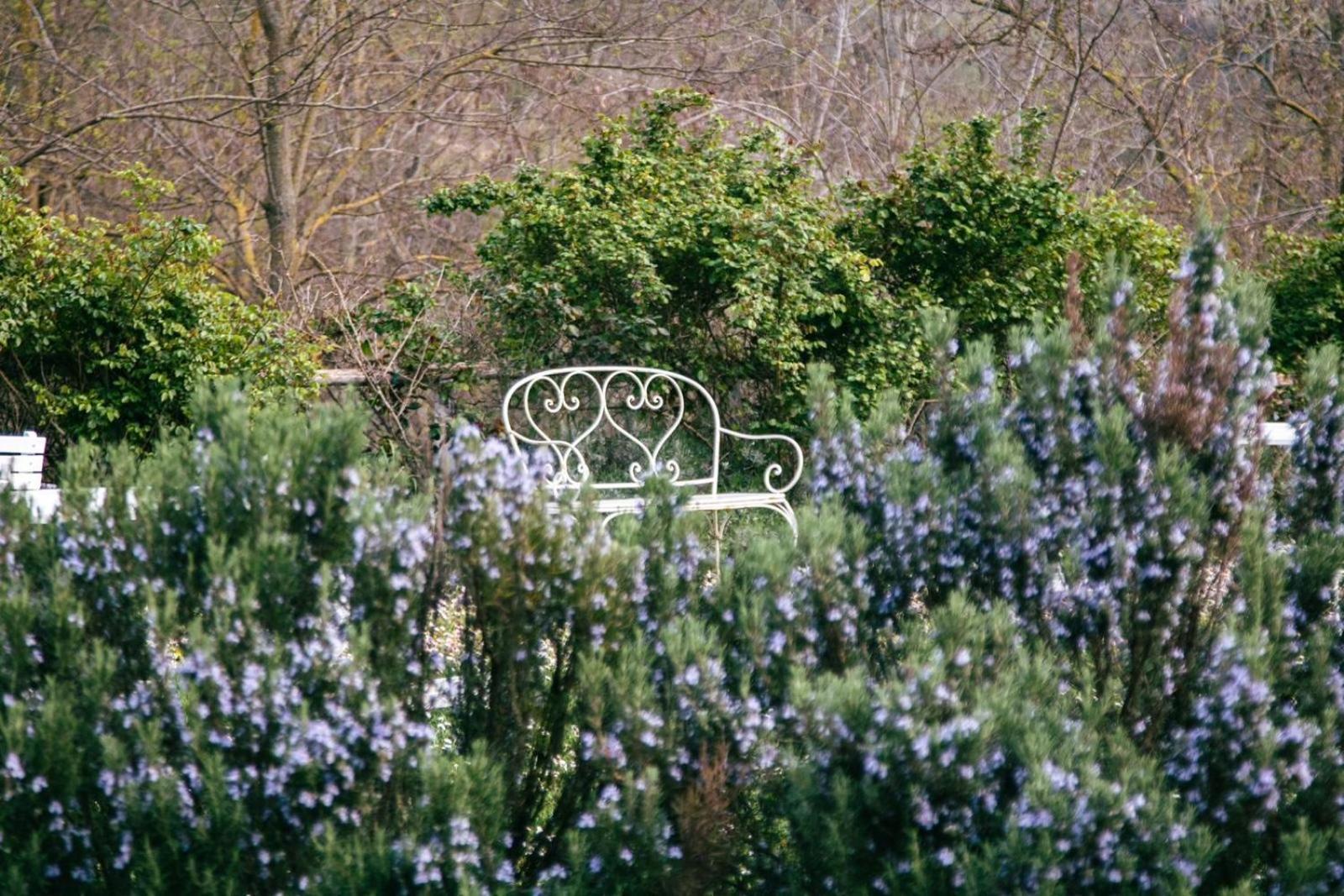 Agricola Casa Cucina Bottega Farm stay *