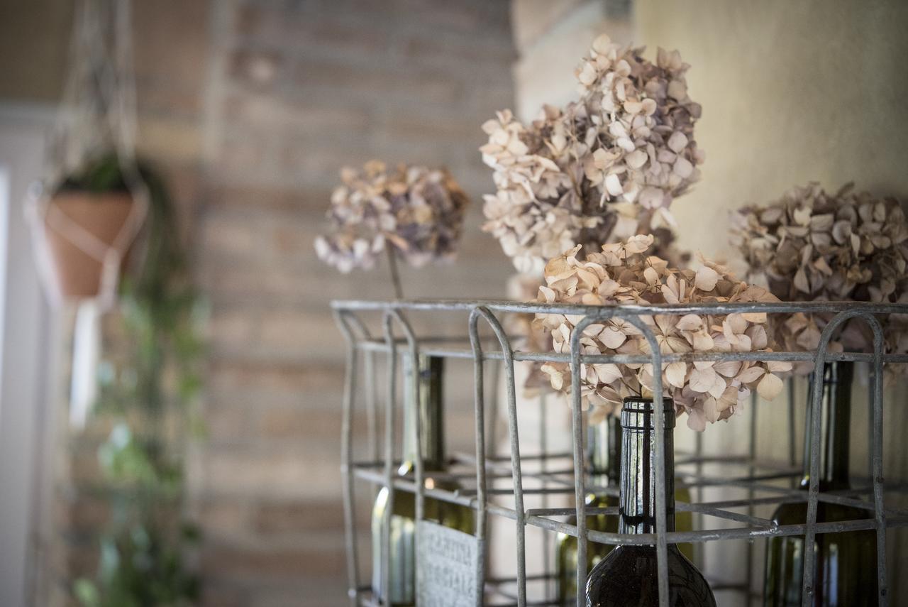 Agricola Casa Cucina Bottega * Cesena
